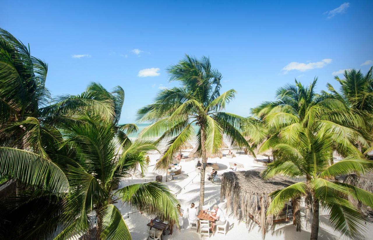 Casa Las Tortugas Petit Beach Hotel & Spa Isla Holbox Exterior foto