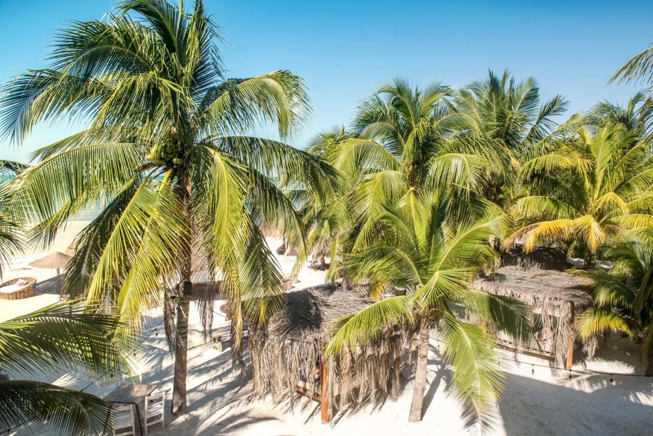 Casa Las Tortugas Petit Beach Hotel & Spa Isla Holbox Exterior foto